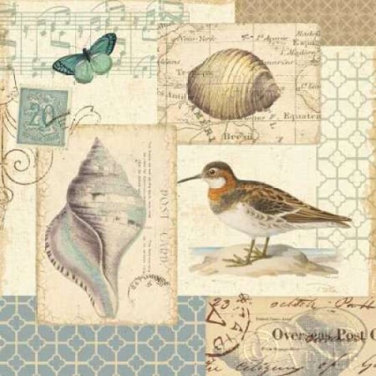 Coastal Collage II Poster Print by  Pela - Item # VARPDX9397