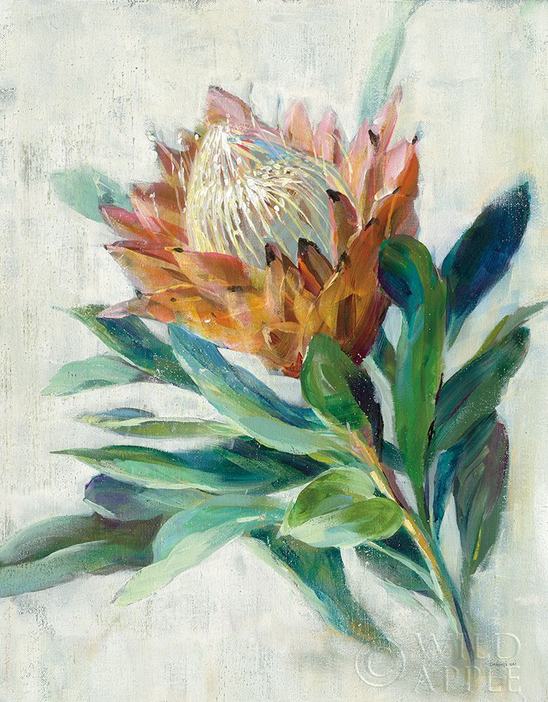Protea Poster Print by Danhui Nai - Item # VARPDX54076