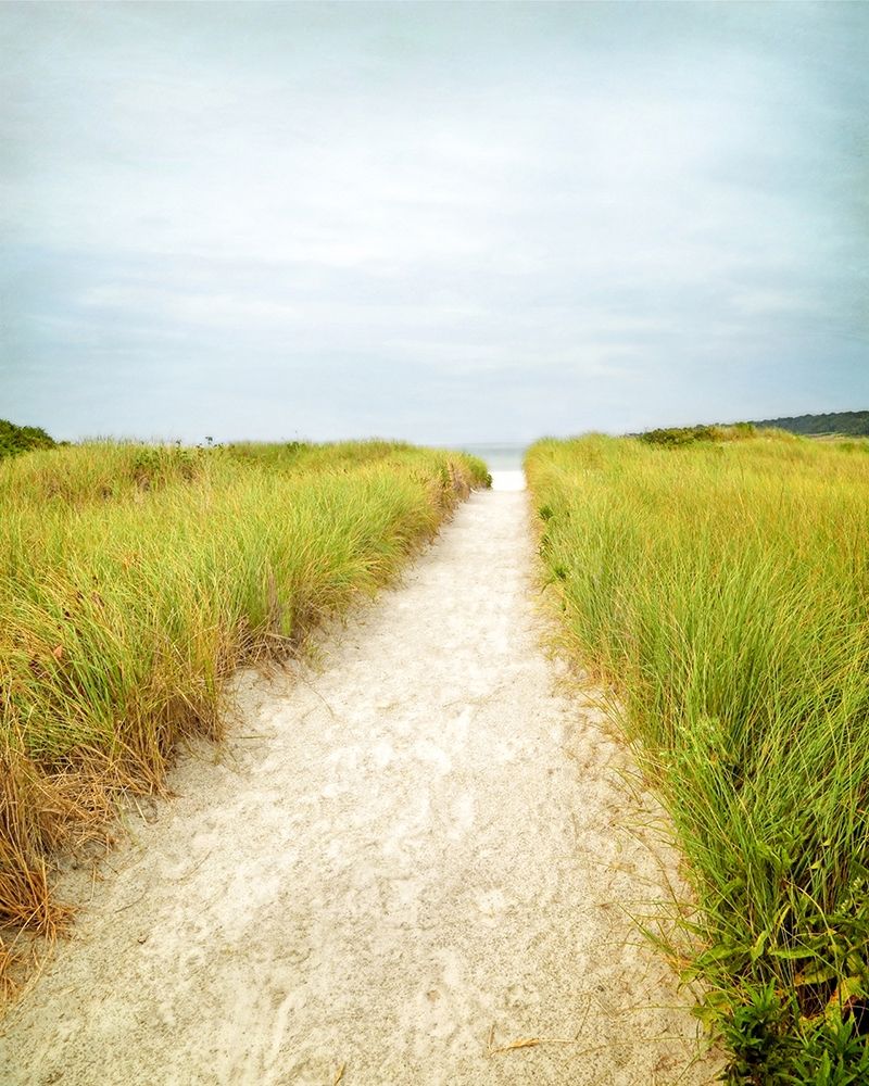 Beach Trail Poster Print by Brooke T. Ryan - Item # VARPDXR1224D