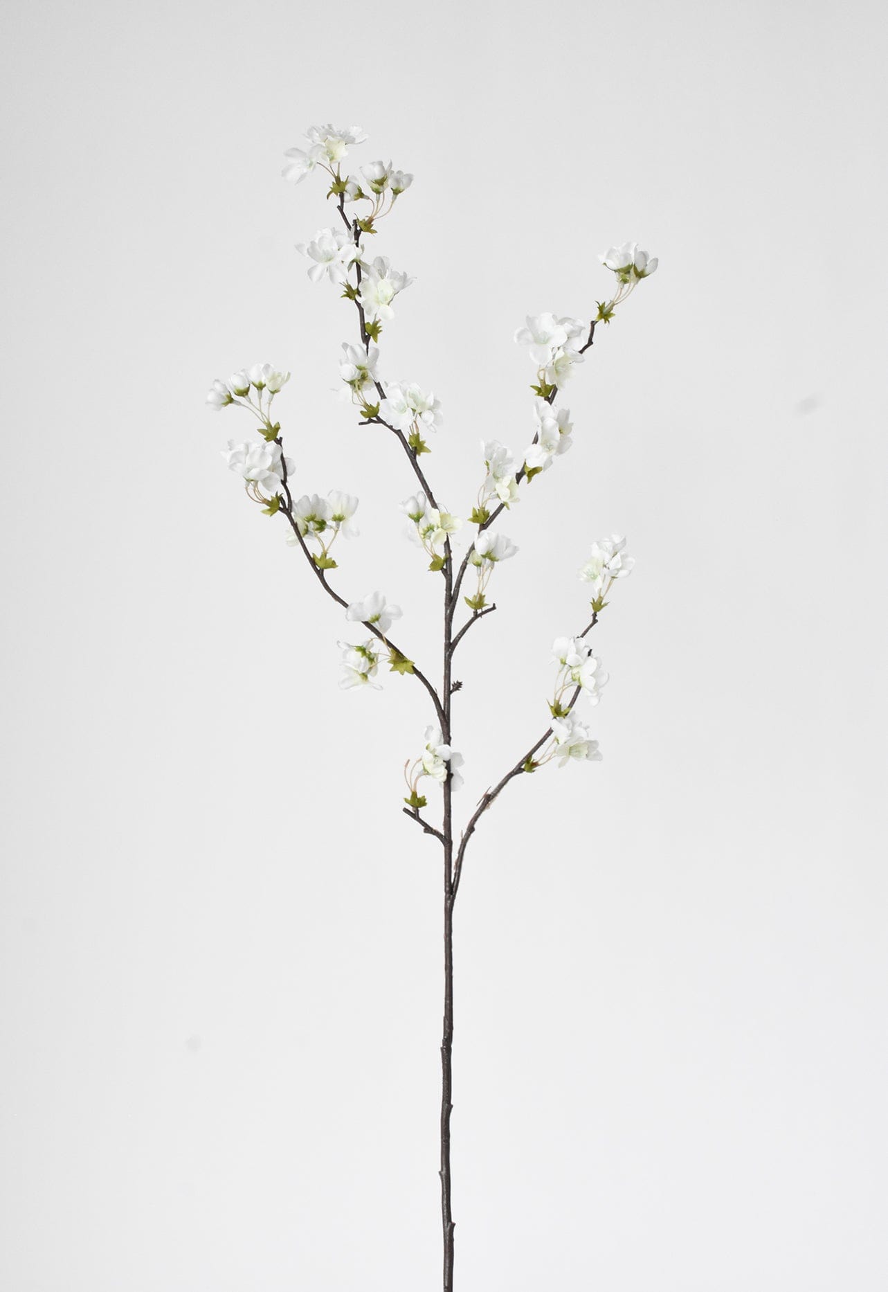 36&#x22; Faux Quince Blossom Cream / White Stem Flowering Branch