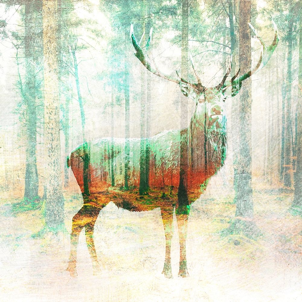 Lord of the Woods Poster Print by Arlo Wren Photos - Item # VARPDX1AP4531