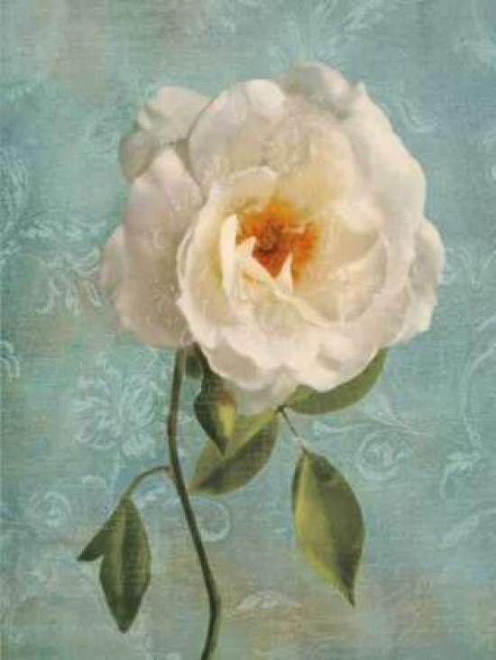 Purity I Poster Print by Janel Pahl - Item # VARPDXPLP146