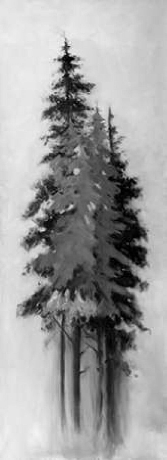 Silhouette of Black and Grey Trees Poster Print by Atelier B Art Studio - Item # VARPDXBEGLAN65