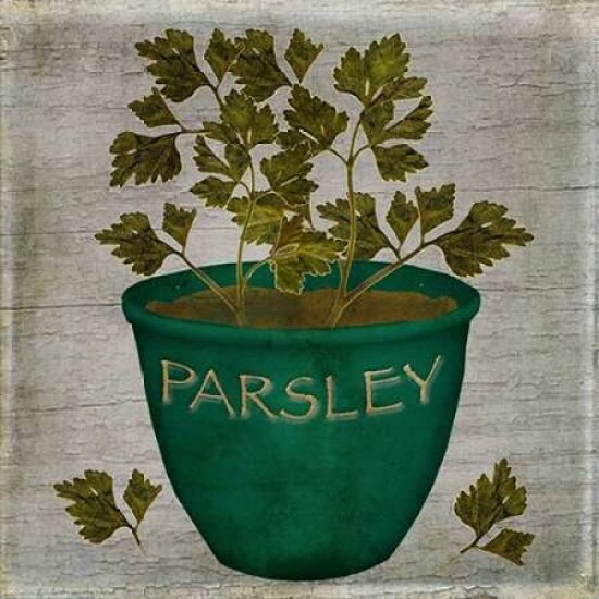 Herb Parsley Poster Print by Beth Albert - Item # VARPDXBA1091