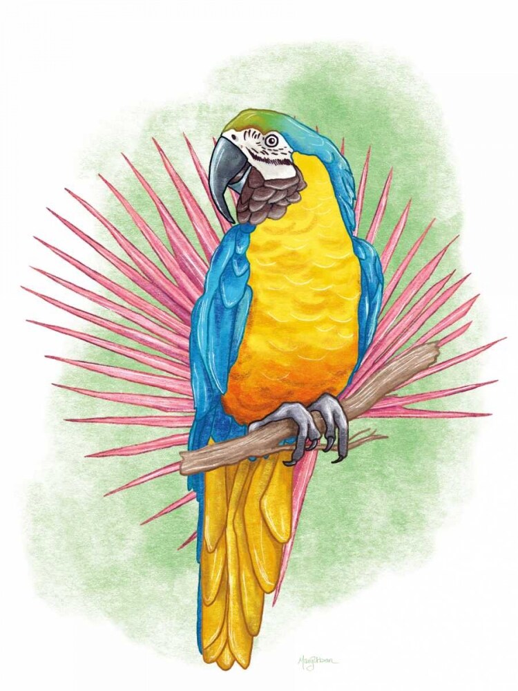 Tropical Flair I Poster Print by Mary Urban - Item # VARPDX33596HR