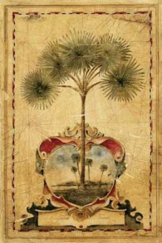 Sunrise Palm Poster Print by Liz Jardine - Item # VARPDXJLP345