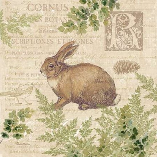 Woodland Trail IV - rabbit Poster Print by Pamela Gladding - Item # VARPDXRB7773PG