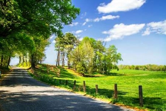 River Road Poster Print by Alan Hausenflock - Item # VARPDXPSHSF1729