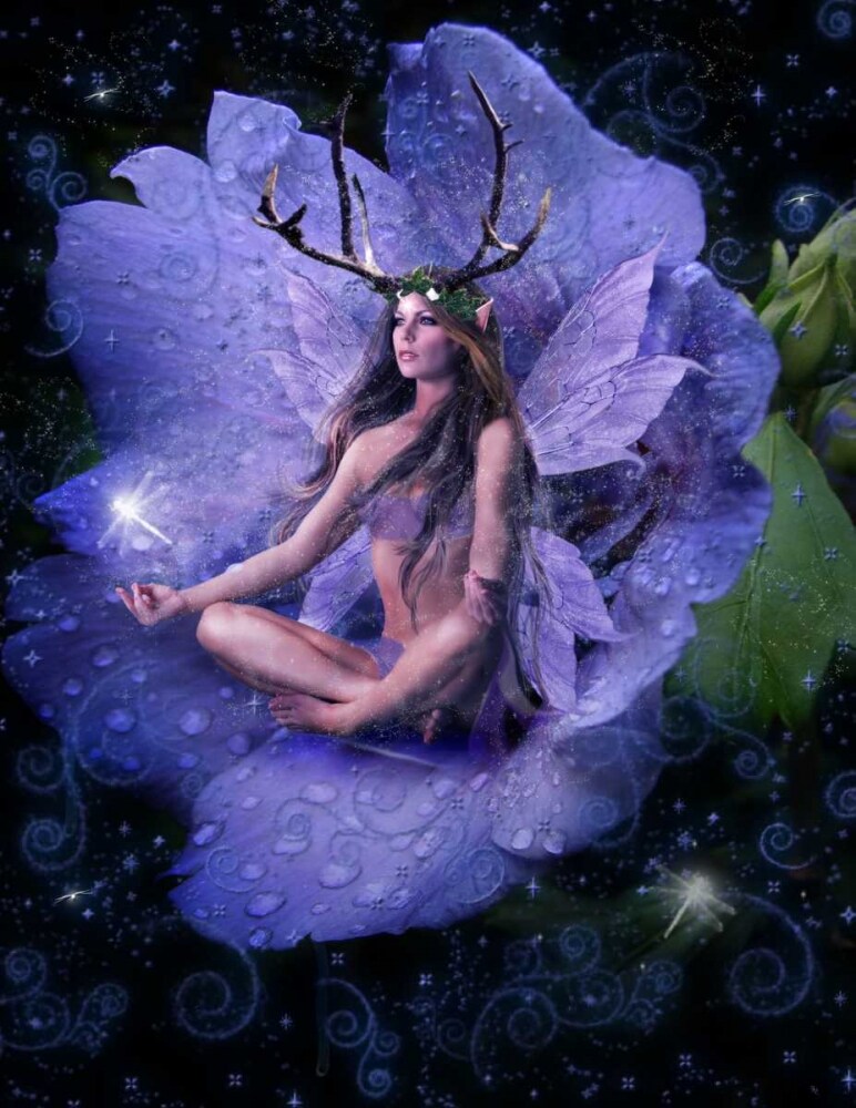 Fairy 26 Poster Print by Babette - Item # VARPDX11079