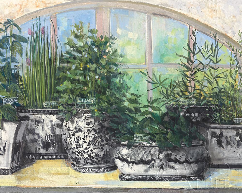 Windowsill Herbs BW Vases Crop Poster Print by Carol Rowan - Item # VARPDX50546
