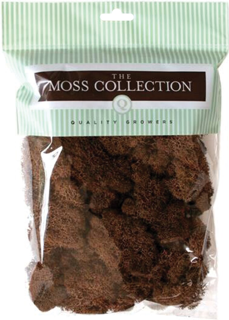 Quality Growers Preserved Reindeer Moss 108.5 Cubic Inches-Walnut