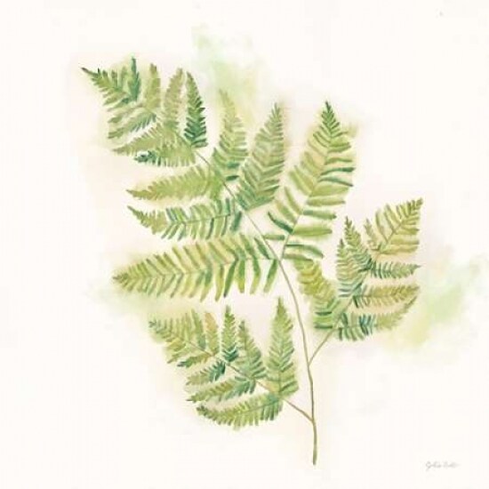 Modern Ferns II Poster Print by Cynthia Coulter - Item # VARPDXRB11346CC