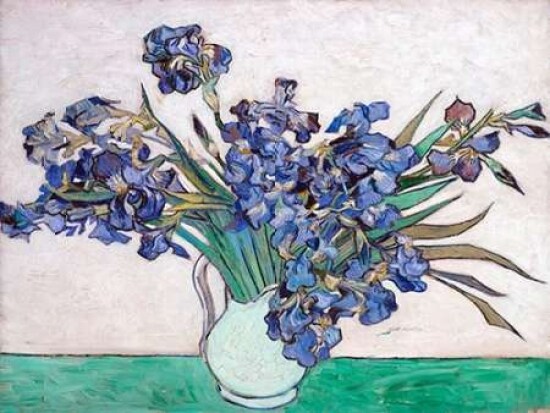 Irises Poster Print by Vincent Van Gogh - Item # VARPDX3VG1433