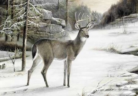 Snowy Mornings Poster Print by Ruane Manning - Item # VARPDX8502F