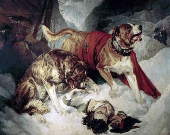 Alpine Mastiffs Reanimating a Distressed Traveller Poster Print by  Sir Edwin Landseer - Item # VARPDX278166