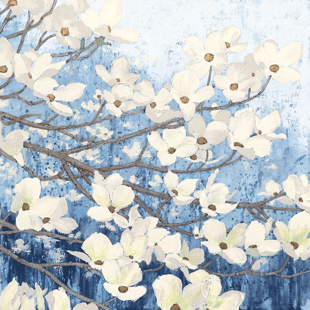 Dogwood Blossoms Ii Indigo Poster Print by James Wiens - Item # VARPDX23973