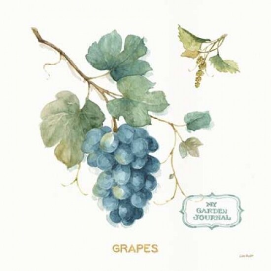 My Greenhouse Fruit III Poster Print by Audit Lisa - Item # VARPDX22224