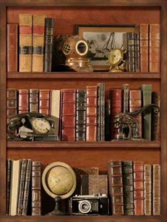 Librairie III Poster Print by Pela Design - Item # VARPDXPEL014