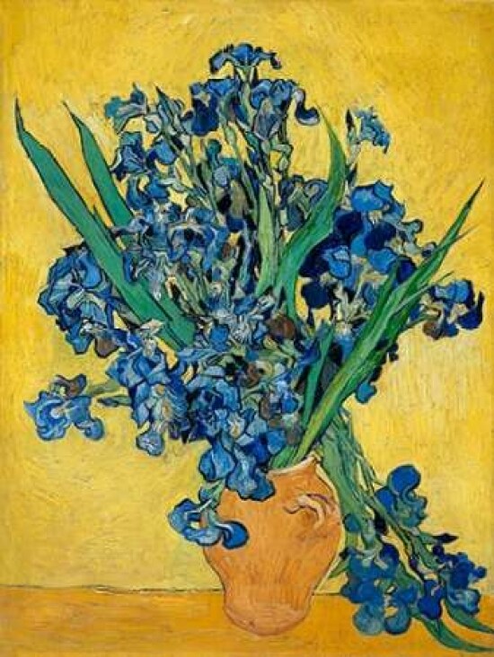 Irises Poster Print by Vincent Van Gogh - Item # VARPDX3VG1434
