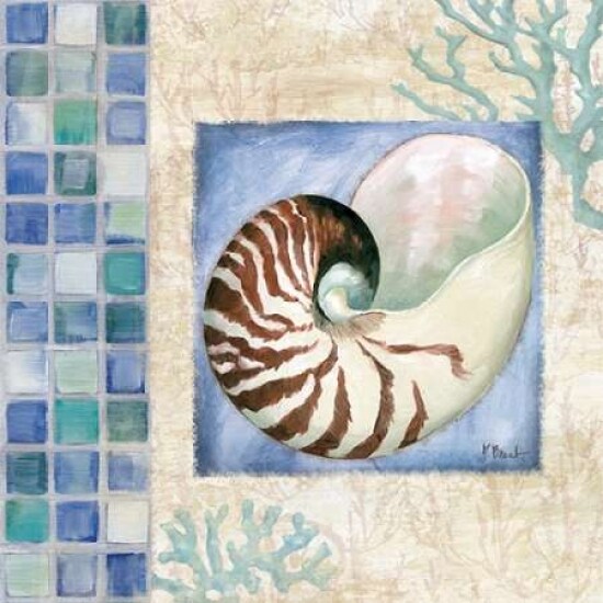 Mosaic Shell Collage V Poster Print by Paul Brent - Item # VARPDXBNT648