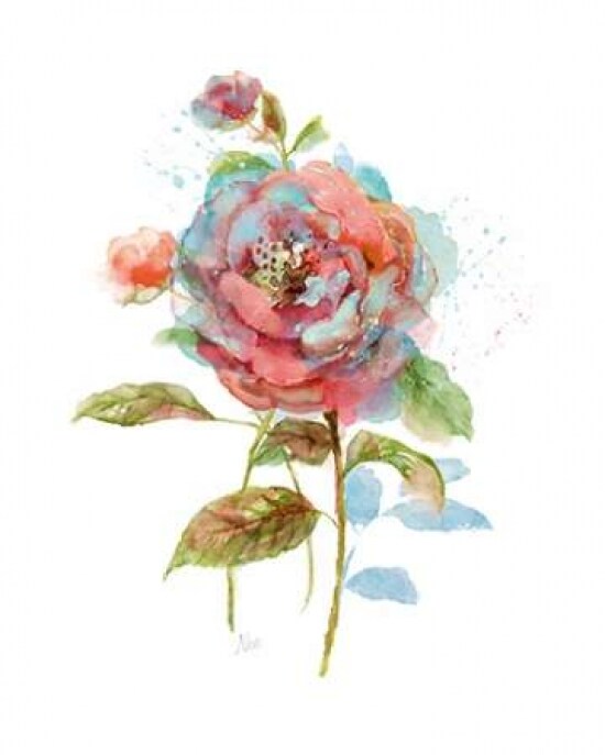 Bloomin Cooler Poster Print by Nan - Item # VARPDX17537
