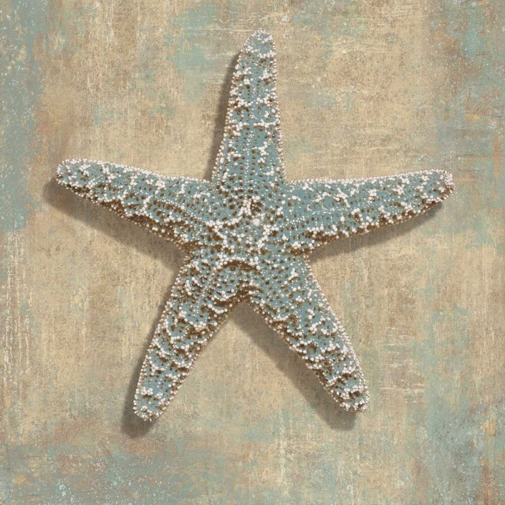 Aqua Starfish Poster Print by Caroline Kelly # CKL6937