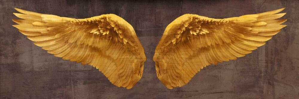 Angel Wings Poster Print by Joannoo - Item # VARPDX4JO3982
