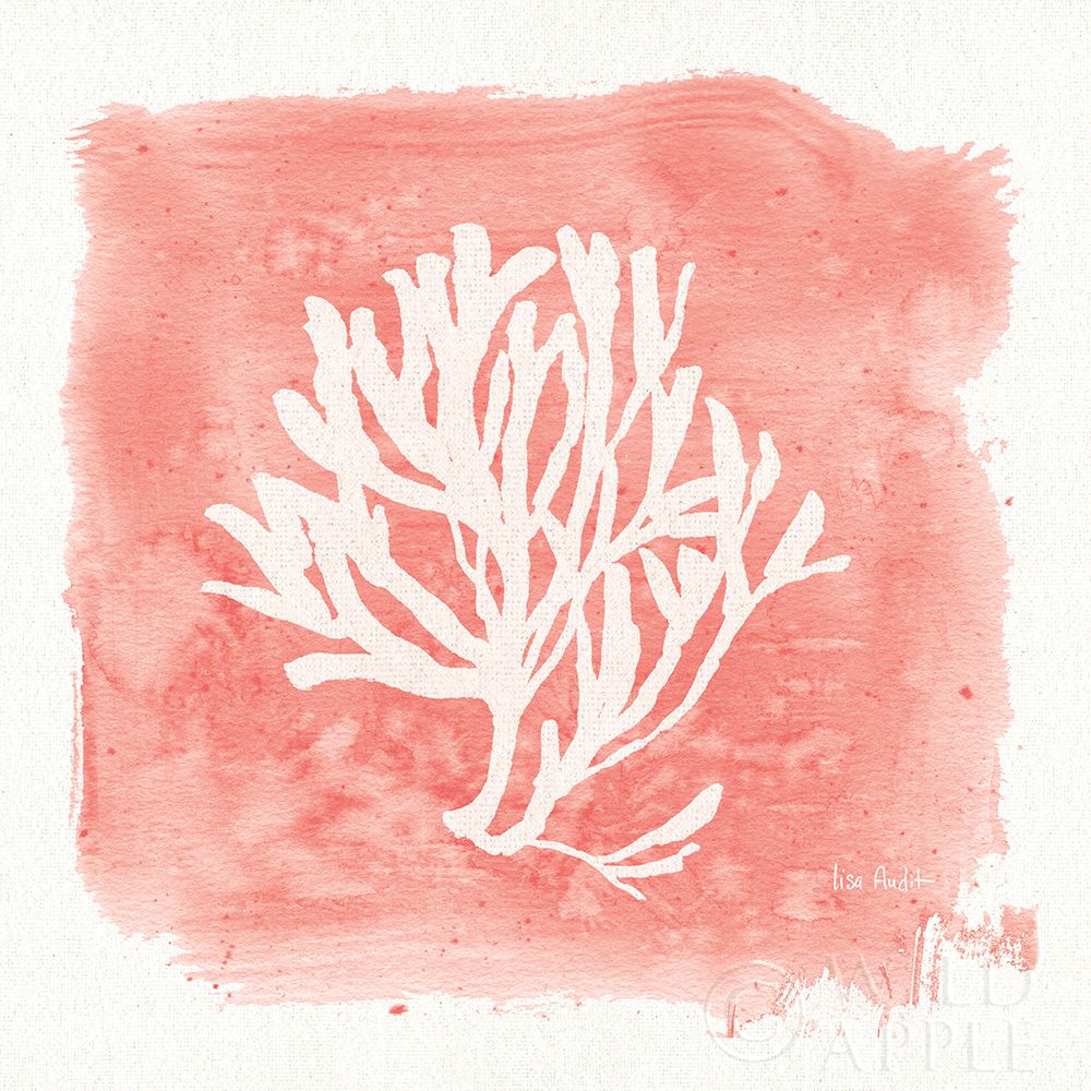 Water Coral Cove III Poster Print by Lisa Audit # 55931
