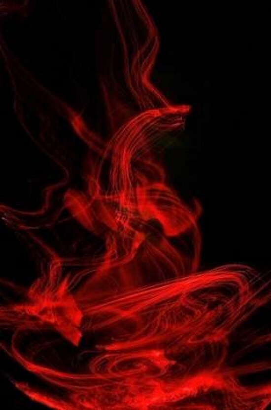 Flamenco II Poster Print by Monika Burkhart - Item # VARPDXPSBHT326