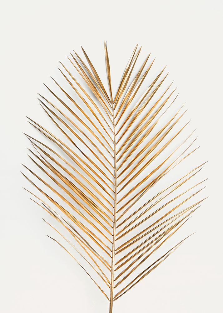Palm Leaf Gold Poster Print by Design Fabrikken Design Fabrikken - Item # VARPDXMF9691444