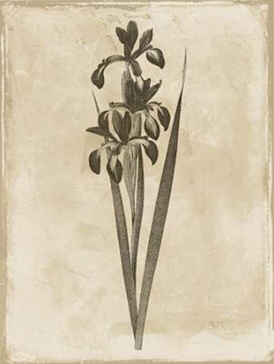Earthy floral 2 Poster Print by Jace Grey - Item # VARPDXJGRC255B