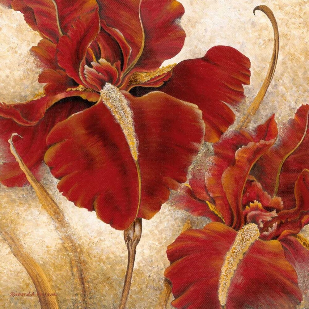 Red Iris Poster Print by Richard Henson - Item # VARPDX11966
