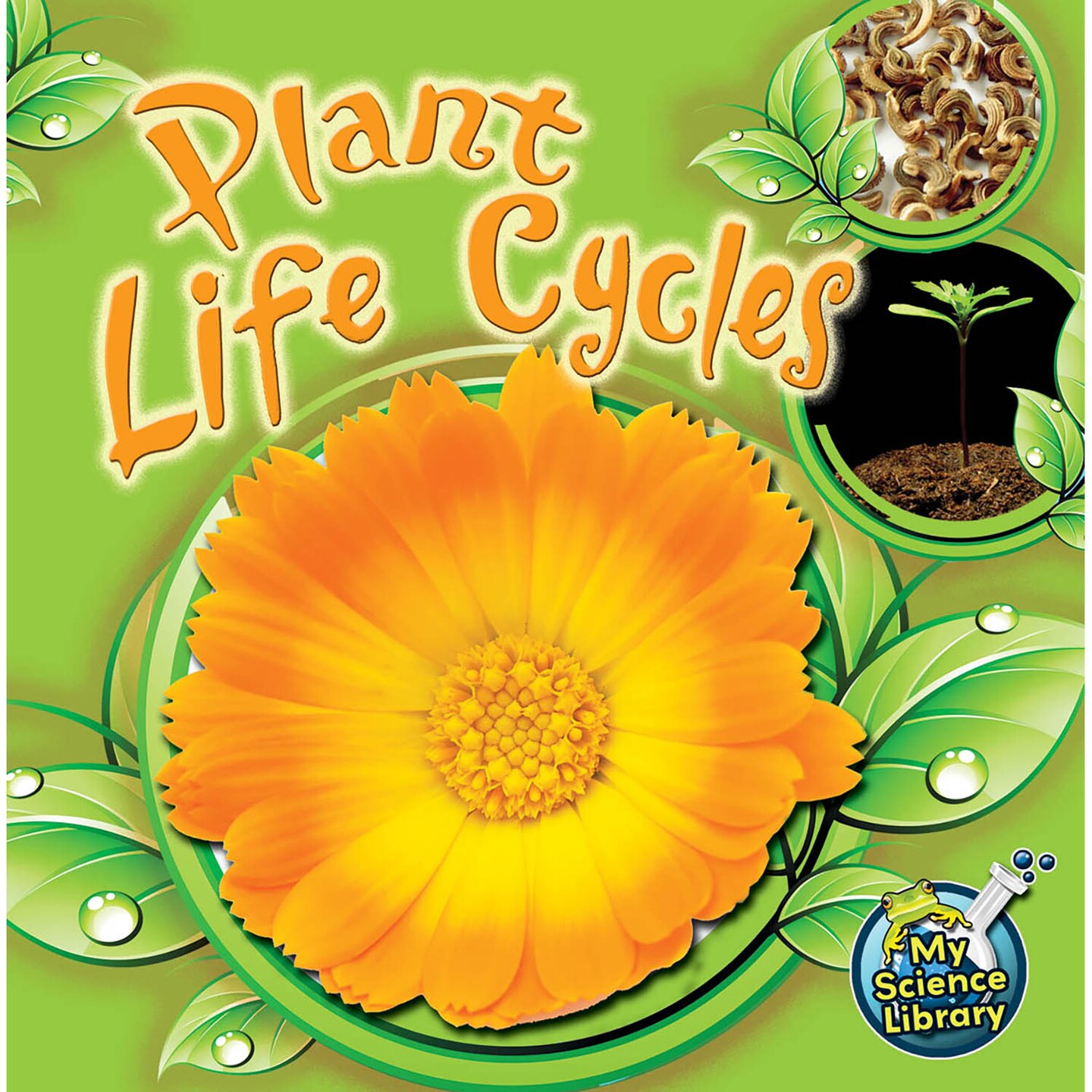Rourke Educational Media Plant Life Cycles