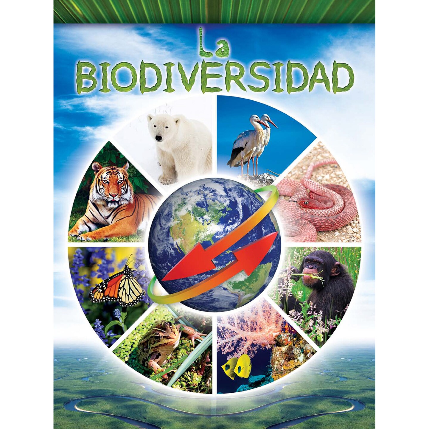 Rourke Educational Media La biodiversidad