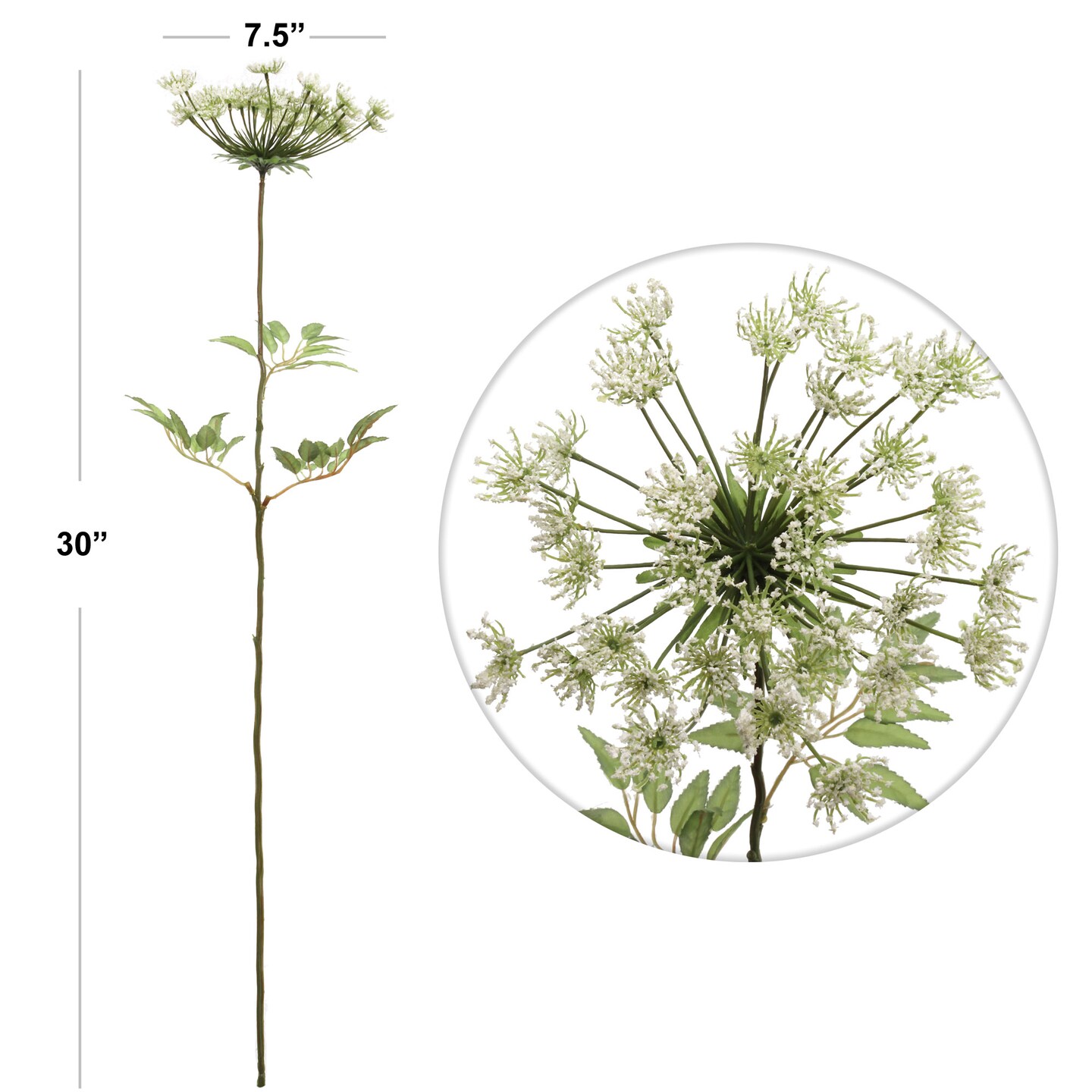 30" White Queen Anne's Lace Spray - Set of 12, Lifelike Artificial Blooms, Elegant Floral Décor, Perfect for Events & Home - Ideal for All Seasons, Floral Home by Artificial Flowers