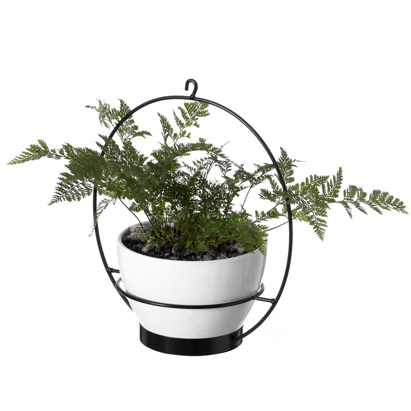 Decorative Metal Hanging Planter with Tree Pots for Flowers, White and Black