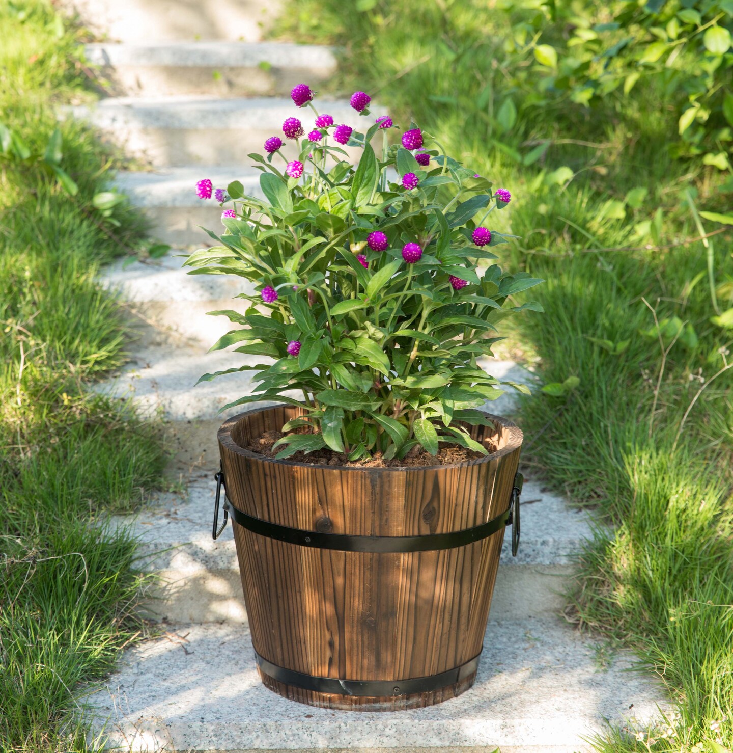 Wooden Whiskey Barrel Planters