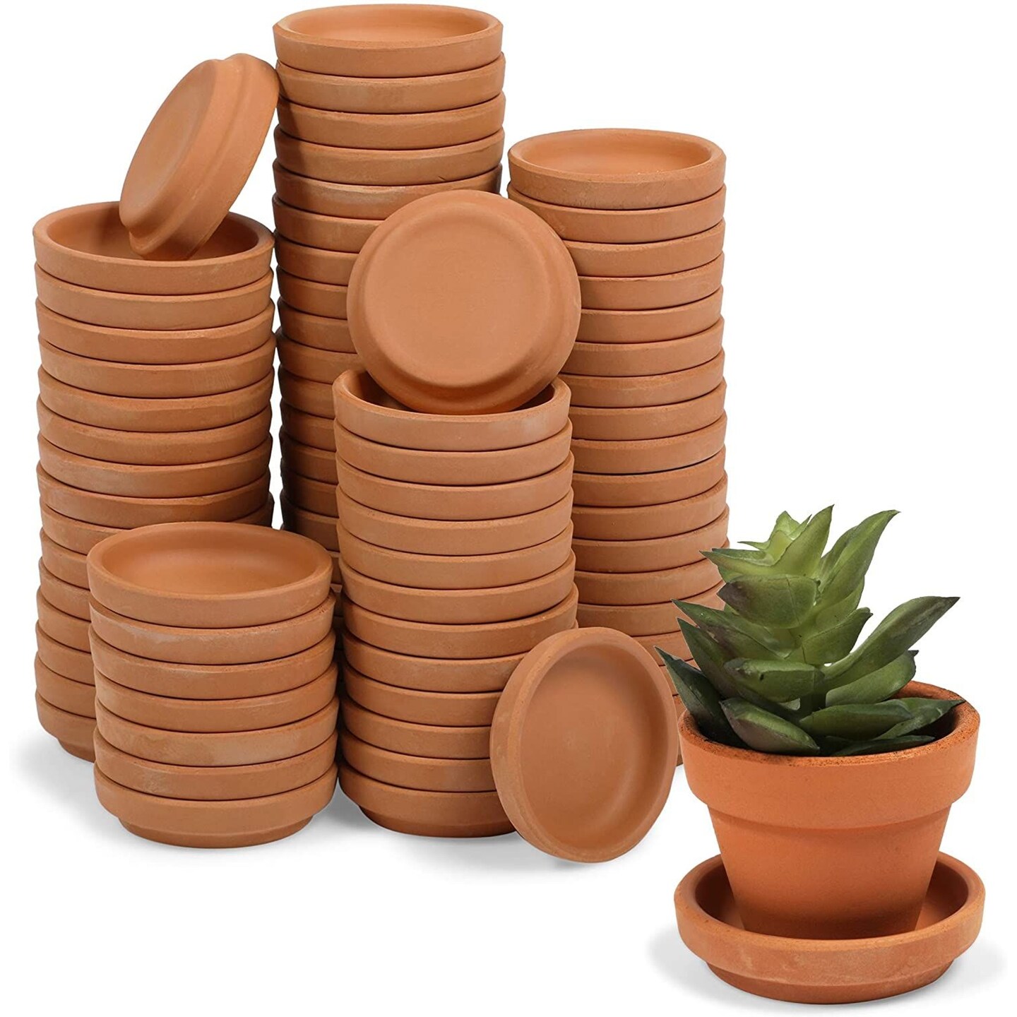 80 Pack 2 Inch Terracotta Saucers for Plant Pots, Plates for Indoor and Outdoor Planter