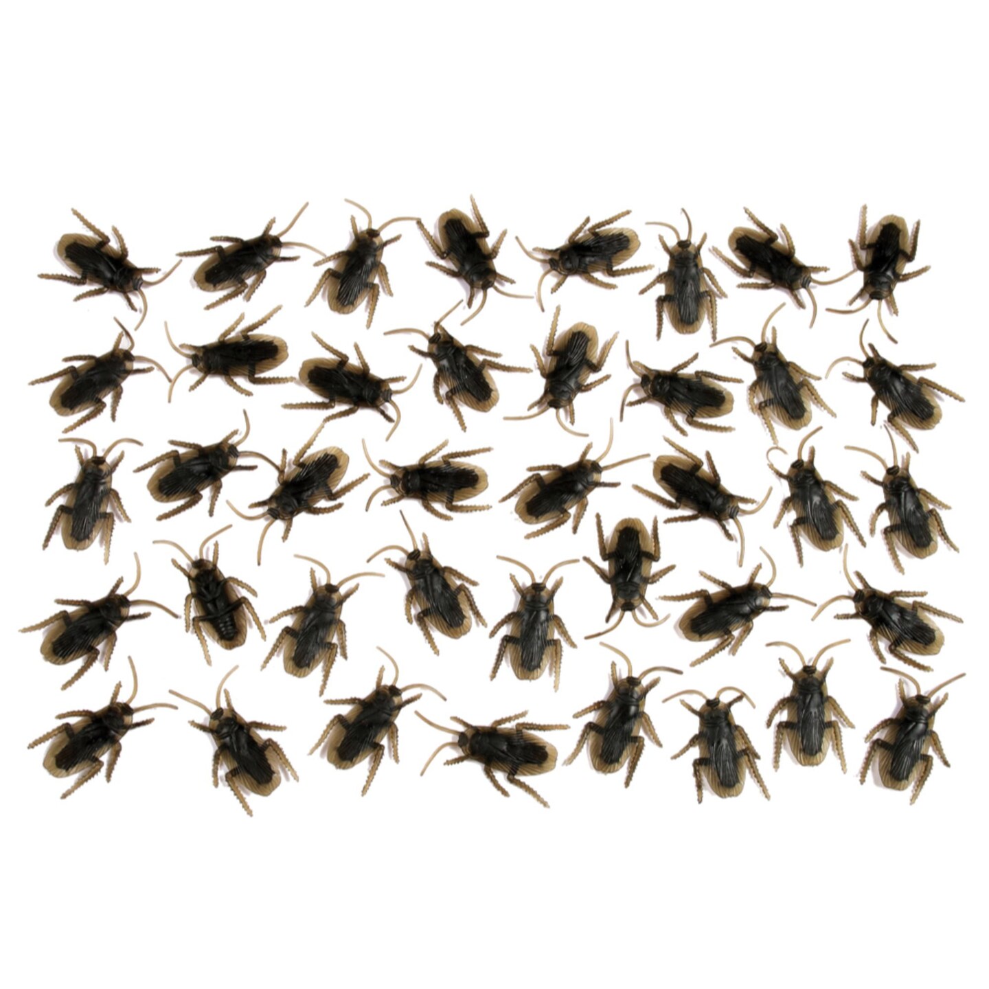 The Costume Center 40-Piece Black Cockroach Halloween Accessories