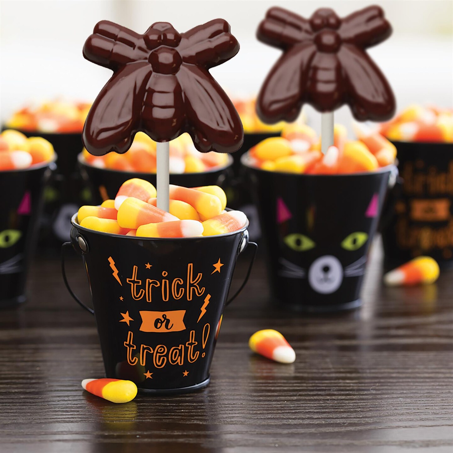 Chocolate Mold Fly Lolly