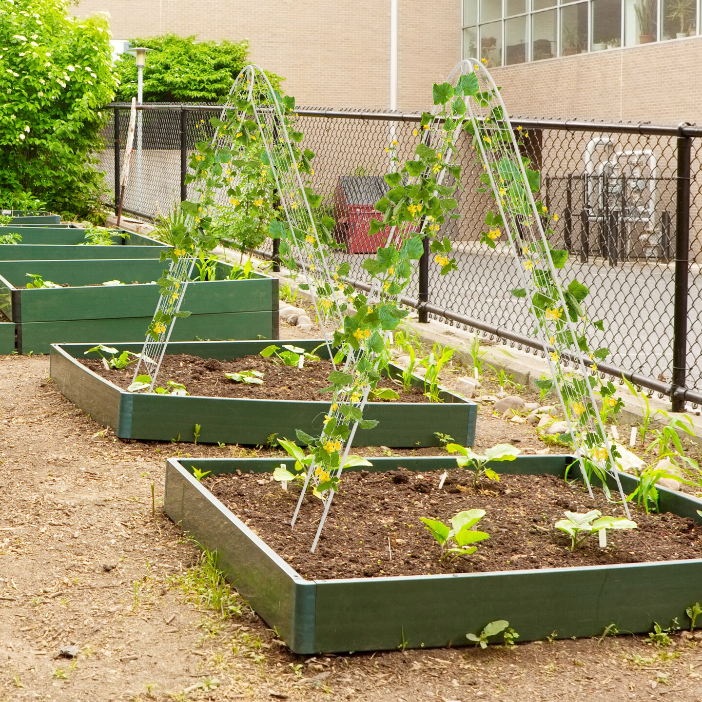 2 Pack 86.5 X 20 Inches Metal Garden Trellis For Climbing Plants