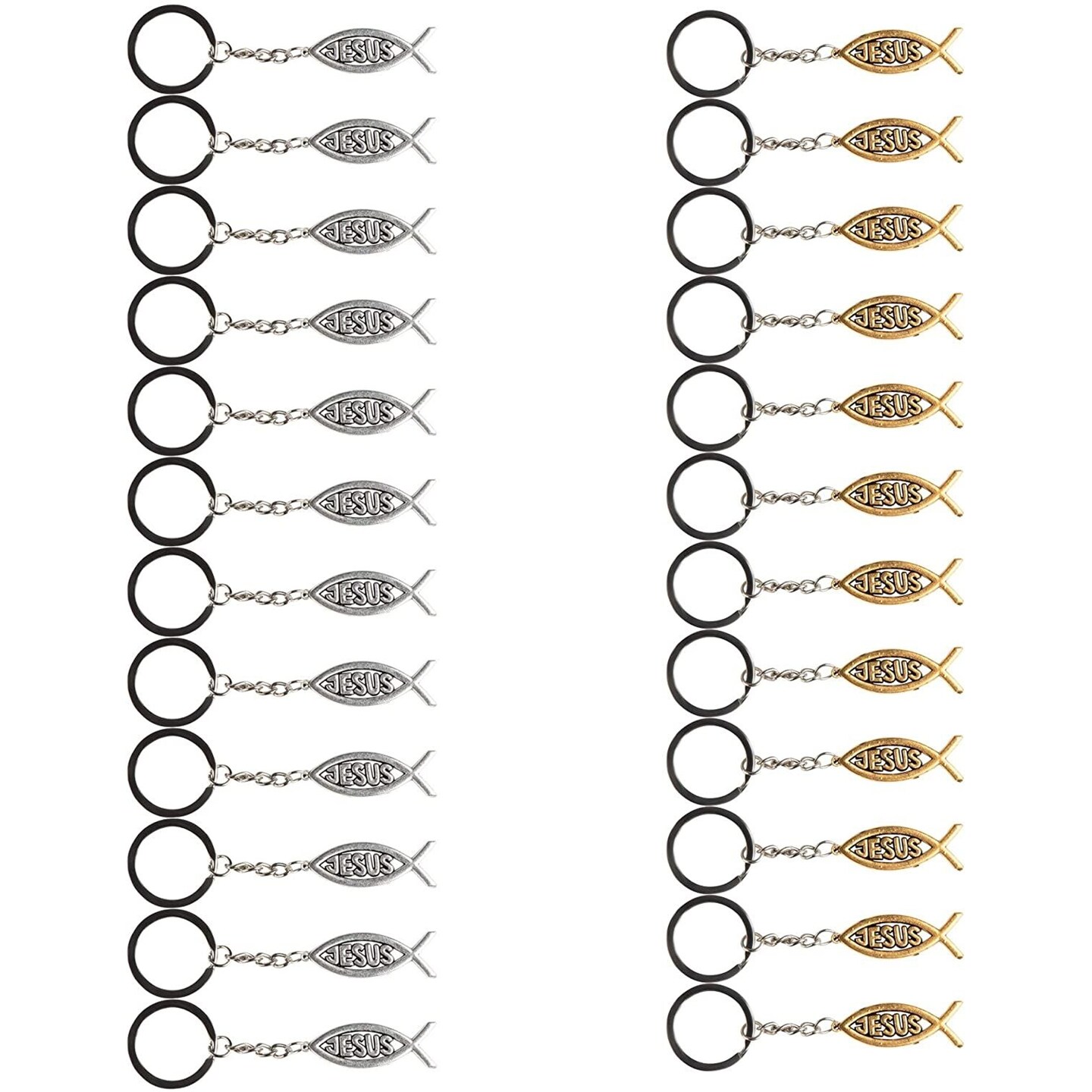 24 Pack Metal Jesus Fish Keychains, Christian Religious Gifts for Women and  Men, Bulk Key Rings for Easter Party, Family Reunion Favors (Silver and  Gold-Colored)