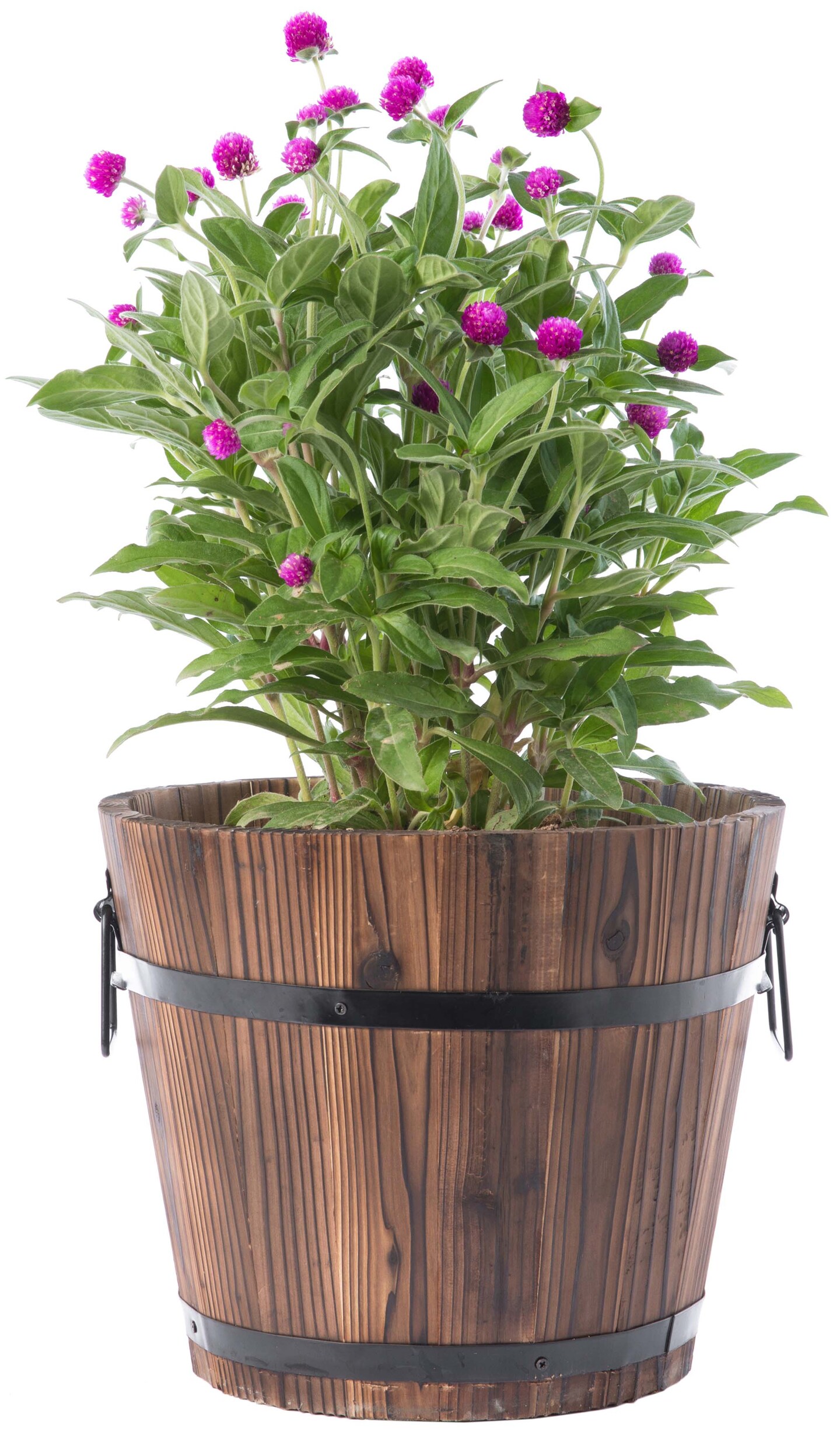 Wooden Whiskey Barrel Planters