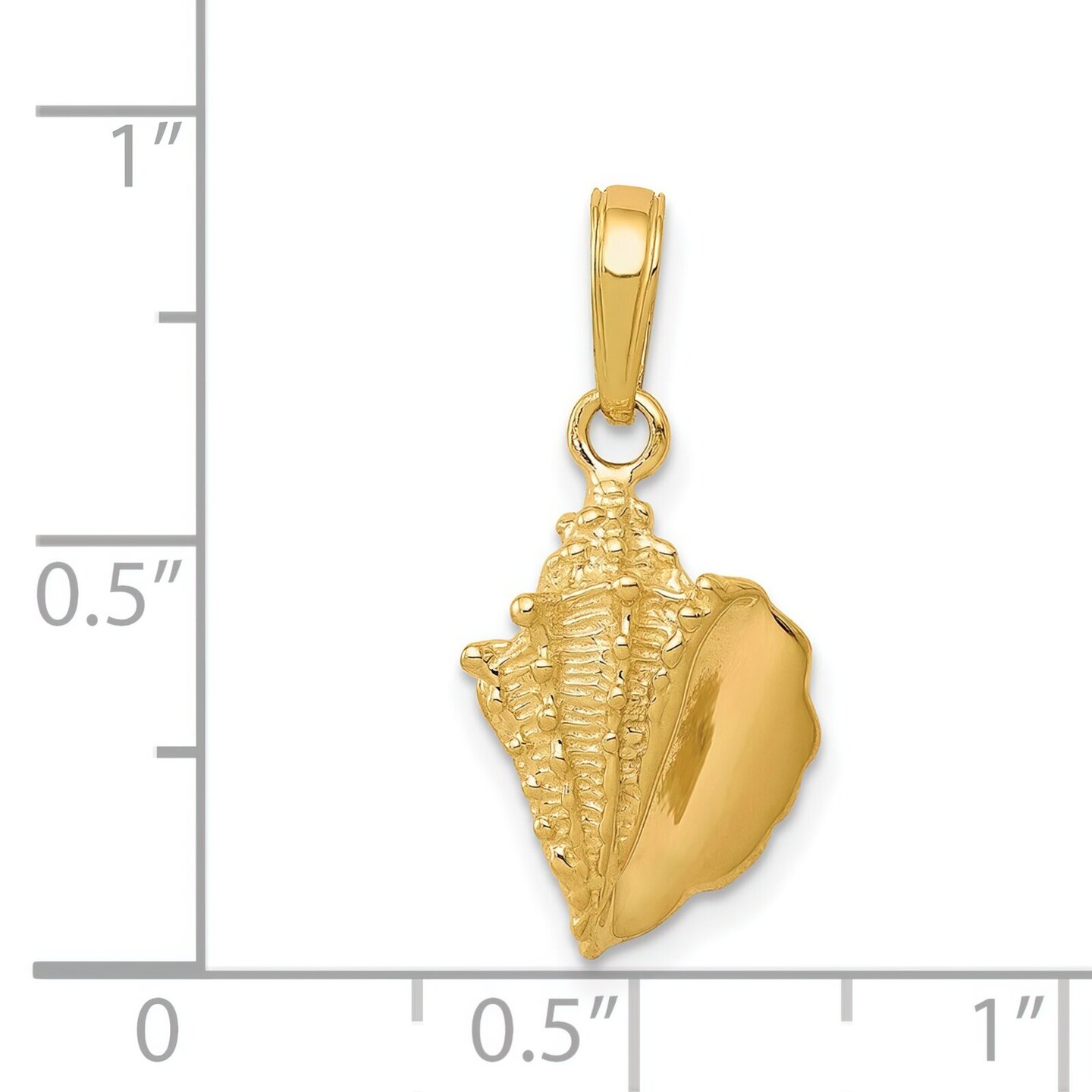 14K Gold Conch Shell Charm Seashell Beach Pendant New 21 X 10mm Jewerly