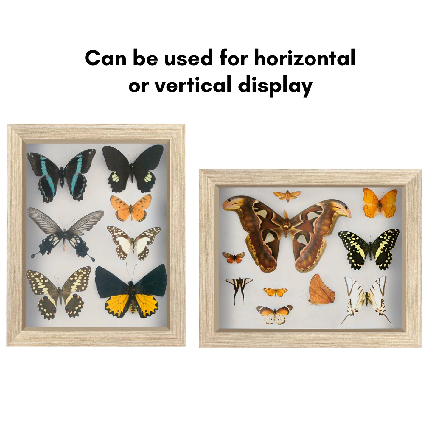 Americanflat Shadow Box Frame - 1.5 Interior Depth for Memorabilia - Display Case for Showcasing Souvenirs, Awards, and Medals - Shatter Resistant Glass - Hanging Hardware