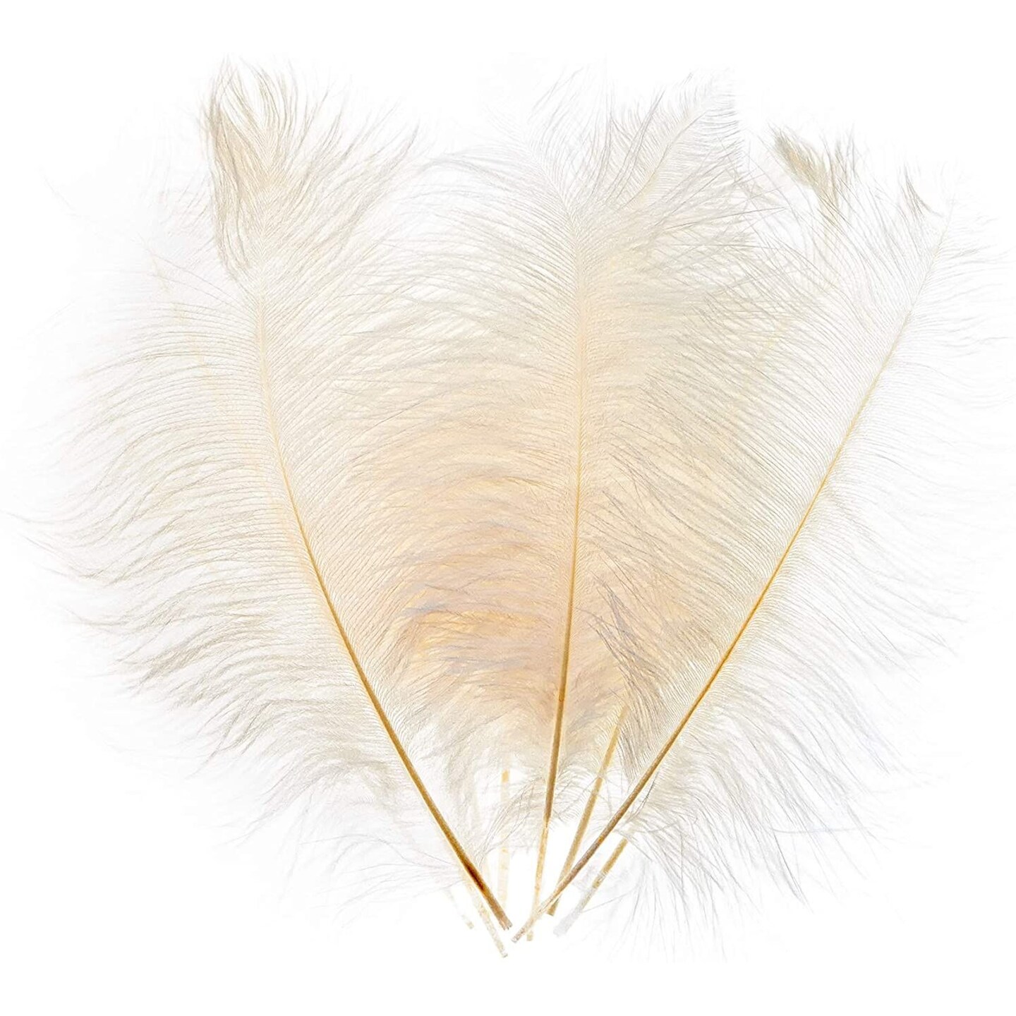 10Pcs/Lot 30-35cm Ostrich Feathers for Crafts White Feathers for Vases  Wedding Party Decoration Handicraft Accessories DIY Plume