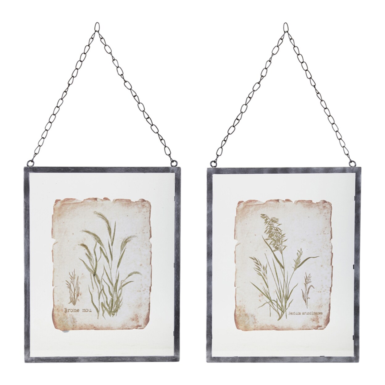 Melrose Grass Frame (Set Of 2) 12.5&#x22; X 16&#x22;H Glass, Metal