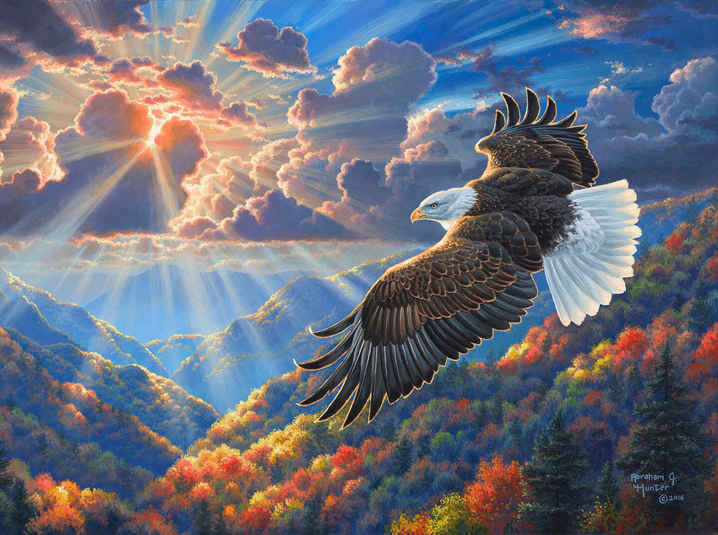 Sunsout Beautiful Freedom 1000 pc   Jigsaw Puzzle 69847