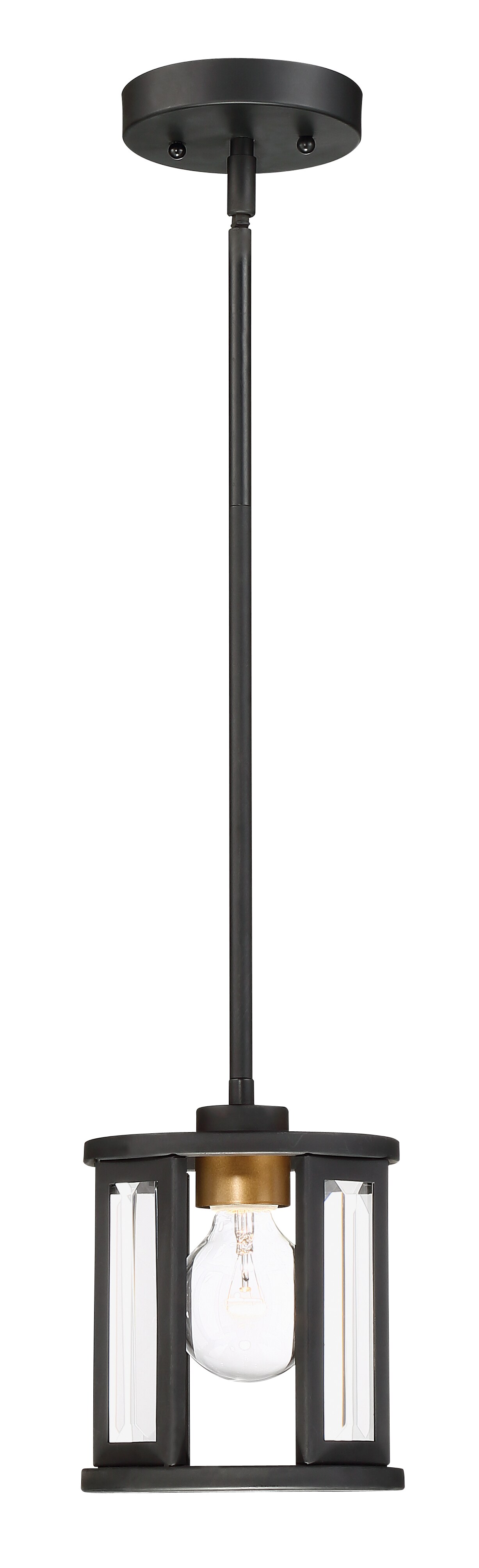 Payne 1-Light Mini-Pendant Mounted Pendant Light Fixture in Black Finish