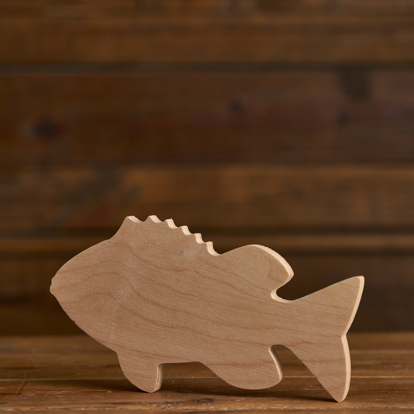 8.6 in. Unfinished Wooden Chunky Fish Shape